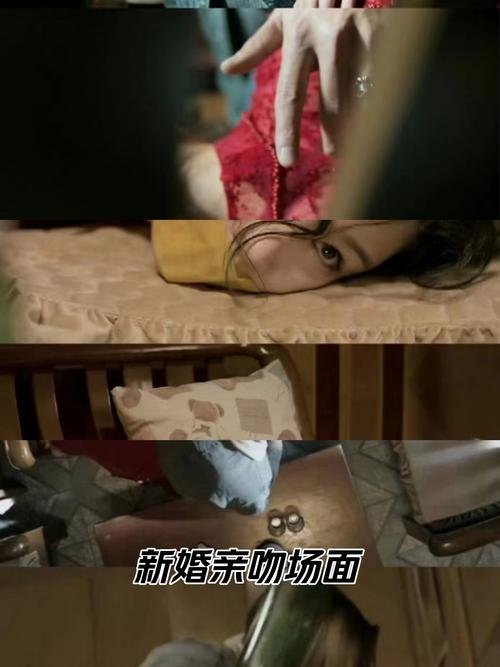 字母圈什么意思